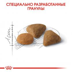 Royal Canin Savour Exigent Корм сухой сбалансированный для привередливых взрослых кошек от 1 года