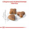 Royal Canin Sensible 33 Корм сухой сбалансированный для взрослых кошек с чувствительной пищеварительной системой