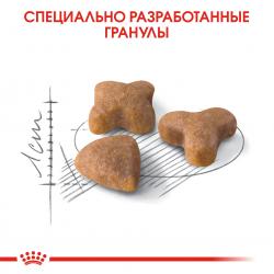 Royal Canin Sensible 33 Корм сухой сбалансированный для взрослых кошек с чувствительной пищеварительной системой