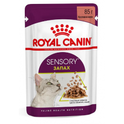 ROYAL CANIN Sensory Smell в соусе (для взрослых кошек, стимулирующий обонятельные рецепторы)