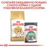 Royal Canin Siamese Adult Корм сухой сбалансированный для взрослых сиамских кошек от 12 месяцев