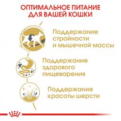 Royal Canin Siamese Adult Корм сухой сбалансированный для взрослых сиамских кошек от 12 месяцев