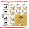 Royal Canin Siamese Adult Корм сухой сбалансированный для взрослых сиамских кошек от 12 месяцев