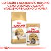 Royal Canin Siberian Adult Корм сухой для взрослых кошек породы Сибирская от 12 месяцев
