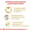Royal Canin Siberian Adult Корм сухой для взрослых кошек породы Сибирская от 12 месяцев