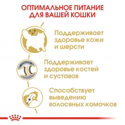 Royal Canin Siberian Adult Корм сухой для взрослых кошек породы Сибирская от 12 месяцев