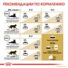Royal Canin Siberian Adult Корм сухой для взрослых кошек породы Сибирская от 12 месяцев