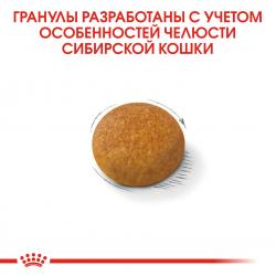 Royal Canin Siberian Adult Корм сухой для взрослых кошек породы Сибирская от 12 месяцев