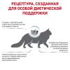 Royal Canin Skin & Coat Корм сухой диетический для кошек для поддержания защитных функций кожи