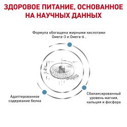 Royal Canin Skin & Coat Корм сухой диетический для кошек для поддержания защитных функций кожи