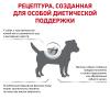 Royal Canin Skin Care small dog Корм сухой полнорационный диетический для собак, предназначенный для поддержания защитных функций кожи при дерматозах и чрезмерном выпадении шерсти