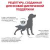 Royal Canin Skin Support Корм сухой полнорационный диетический для собак, предназначенный для поддержания защитных функций кожи при дерматозах и чрезмерном выпадении шерсти