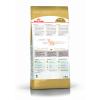 Royal Canin Sphynx Adult Корм сухой сбалансированный для взрослых кошек породы Сфинкс от 12 месяцев