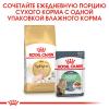 Royal Canin Sphynx Adult Корм сухой сбалансированный для взрослых кошек породы Сфинкс от 12 месяцев