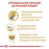 Royal Canin Sphynx Adult Корм сухой сбалансированный для взрослых кошек породы Сфинкс от 12 месяцев