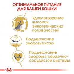 Royal Canin Sphynx Adult Корм сухой сбалансированный для взрослых кошек породы Сфинкс от 12 месяцев