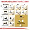 Royal Canin Sphynx Adult Корм сухой сбалансированный для взрослых кошек породы Сфинкс от 12 месяцев