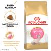Royal Canin Sphynx Kitten Корм сухой сбалансированный для котят породы Сфинкс до 12 месяцев