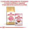 Royal Canin Sphynx Kitten Корм сухой сбалансированный для котят породы Сфинкс до 12 месяцев