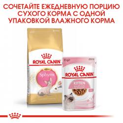 Royal Canin Sphynx Kitten Корм сухой сбалансированный для котят породы Сфинкс до 12 месяцев