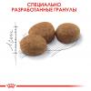 Royal Canin Sterilised 37 Корм сухой сбалансированный для стерилизованных кошек