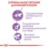 Royal Canin Sterilised 37 Корм сухой сбалансированный для стерилизованных кошек