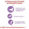 Royal Canin Sterilised 7+ Корм сухой сбалансированный для стерилизованных кошек