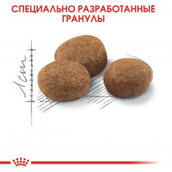 Royal Canin Sterilised 7+ Корм сухой сбалансированный для стерилизованных кошек