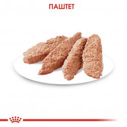 Royal Canin Sterilised Корм консервированный для стерилизованных взрослых кошек, паштет, 85г