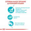 Royal Canin Urinary Care Корм консервированный для кошек в соусе для поддержания здоровья мочевыделительной системы, 85г