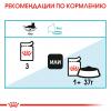 Royal Canin Urinary Care Корм консервированный для кошек в соусе для поддержания здоровья мочевыделительной системы, 85г