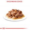 Royal Canin Urinary Care Корм консервированный для кошек в соусе для поддержания здоровья мочевыделительной системы, 85г