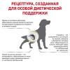 Royal Canin Urinary S/O LP 34 Feline Корм сухой диетический для взрослых кошек при мочекаменной болезни