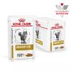 Royal Canin Urinary S/O Feline Корм диетический для кошек при мочекаменной болезни, соус, 0,085 кг