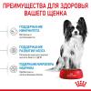 Royal Canin X-Small Puppy Корм сухой для щенков очень мелких размеров до 10 месяцев