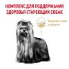 Royal Canin Yorkshire Terrier 8+ Корм сухой для стареющих собак породы Йоркширский Терьер от 8 лет