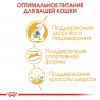 Royal Canin Bengal Adult Корм сухой сбалансированный для взрослых бенгальских кошек от 12 месяцев