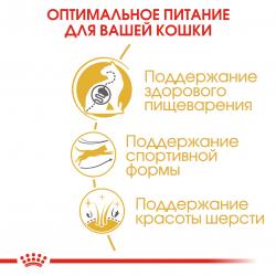 Royal Canin Bengal Adult Корм сухой сбалансированный для взрослых бенгальских кошек от 12 месяцев