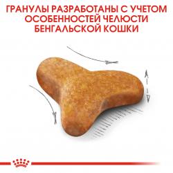 Royal Canin Bengal Adult Корм сухой сбалансированный для взрослых бенгальских кошек от 12 месяцев