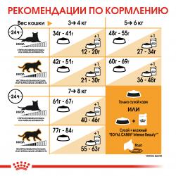 Royal Canin Bengal Adult Корм сухой сбалансированный для взрослых бенгальских кошек от 12 месяцев