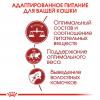 Royal Canin Fit 32 Корм сухой сбалансированный для взрослых умеренно активных кошек от 1 года