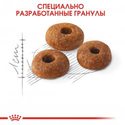 Royal Canin Fit 32 Корм сухой сбалансированный для взрослых умеренно активных кошек от 1 года