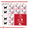 Royal Canin Fit 32 Корм сухой сбалансированный для взрослых умеренно активных кошек от 1 года
