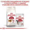 Royal Canin Fit 32 Корм сухой сбалансированный для взрослых умеренно активных кошек от 1 года
