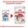 Royal Canin Indoor Sterilized Корм консервированный для взрослых кошек, постоянно живущих в помещении, желе, 85г