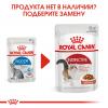 Royal Canin Indoor Sterilized Корм консервированный для взрослых кошек, постоянно живущих в помещении, паштет, 85г