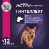 Eukanuba Puppy Small Breed <12 months Корм сухой для щенков мелких пород в возрасте до 12 месяцев