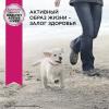 Eukanuba Puppy Small Breed <12 months Корм сухой для щенков мелких пород в возрасте до 12 месяцев
