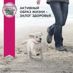 Eukanuba Puppy Small Breed <12 months Корм сухой для щенков мелких пород в возрасте до 12 месяцев