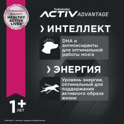 Eukanuba Adult Large Breed 1+ years Корм сухой для взрослых собак крупных и очень крупных пород от года и старше